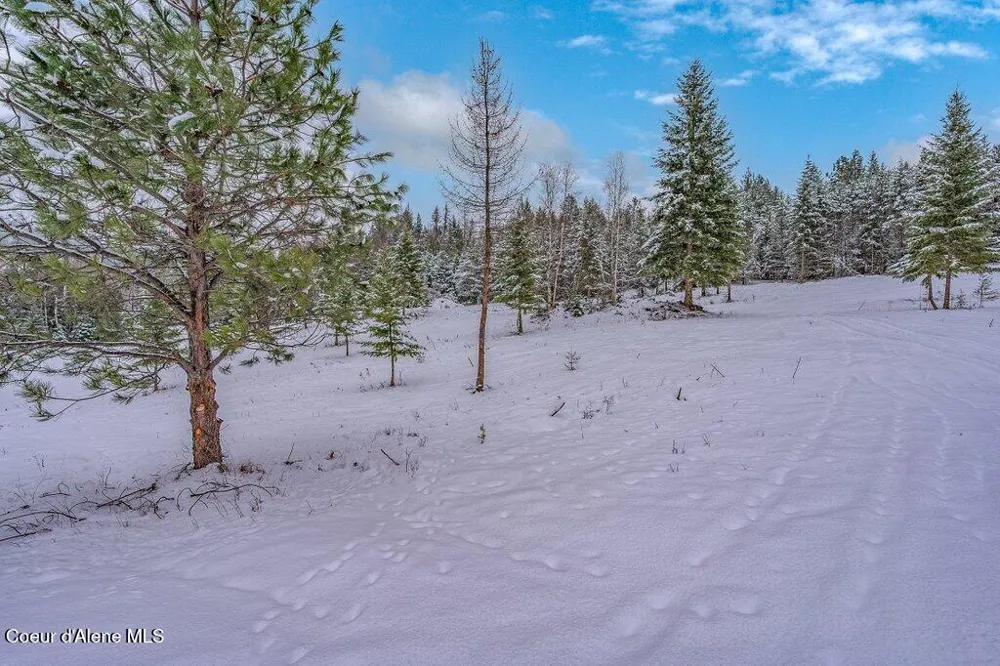 NNA Lot 1 Schneiders Road Sagle, ID 83860