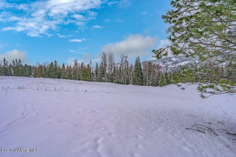 NNA Lot 1 Schneiders Road Sagle, ID 83860