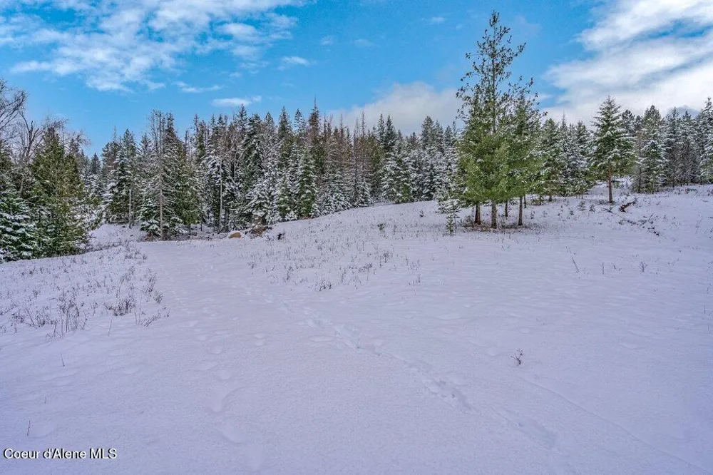 NNA Lot 1 Schneiders Road Sagle, ID 83860