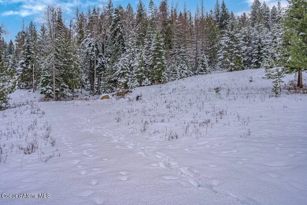 NNA Lot 1 Schneiders Road Sagle, ID 83860