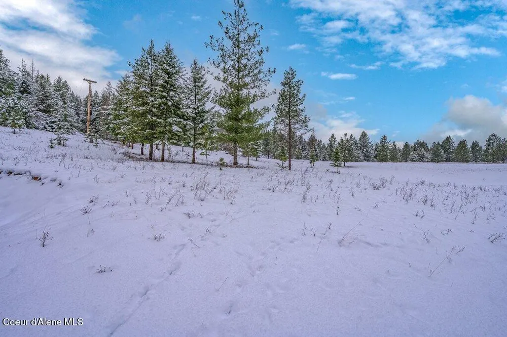 NNA Lot 1 Schneiders Road Sagle, ID 83860