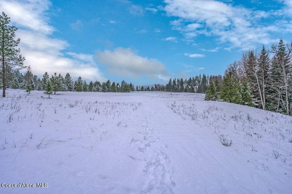 NNA Lot 1 Schneiders Road Sagle, ID 83860