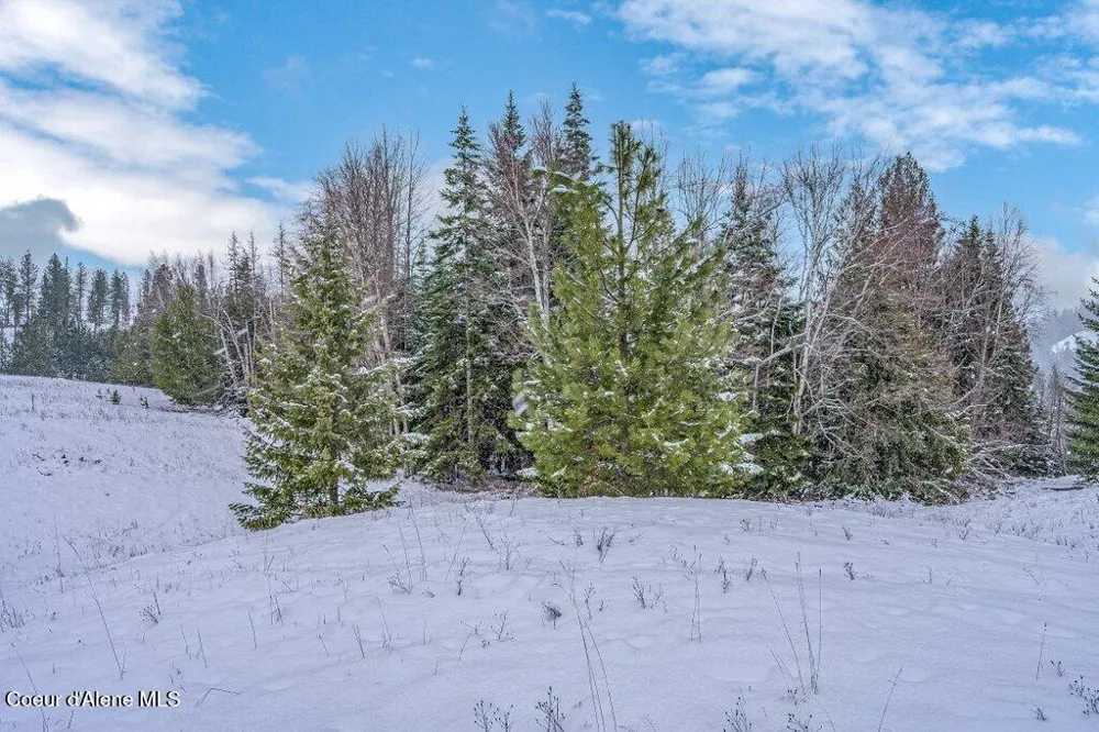 NNA Lot 1 Schneiders Road Sagle, ID 83860