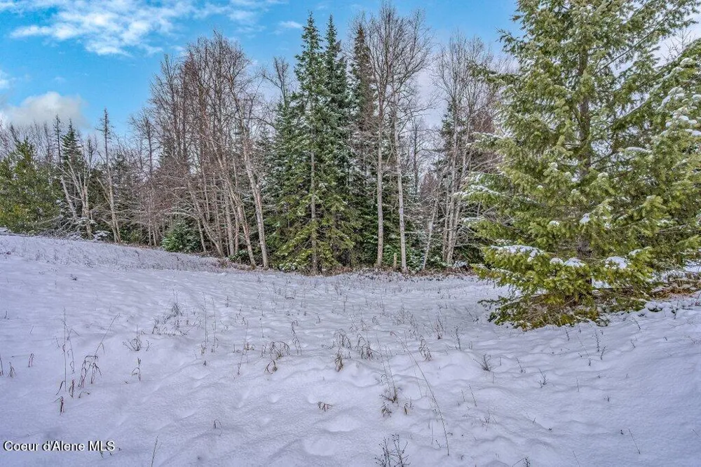 NNA Lot 1 Schneiders Road Sagle, ID 83860