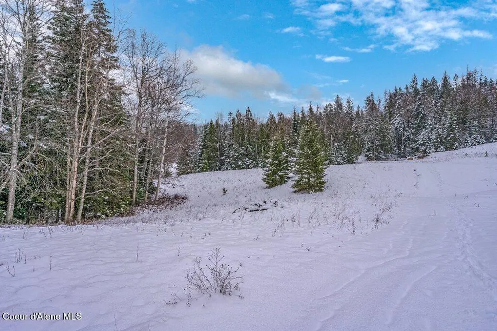 NNA Lot 1 Schneiders Road Sagle, ID 83860