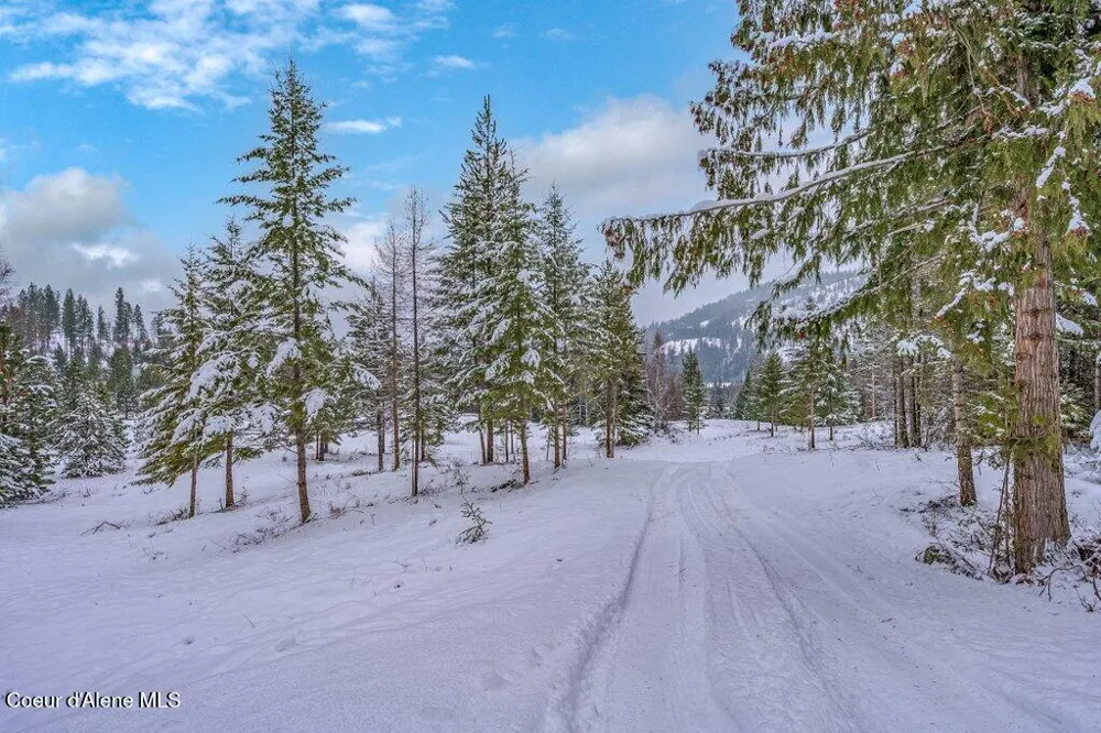 NNA Lot 1 Schneiders Road Sagle, ID 83860