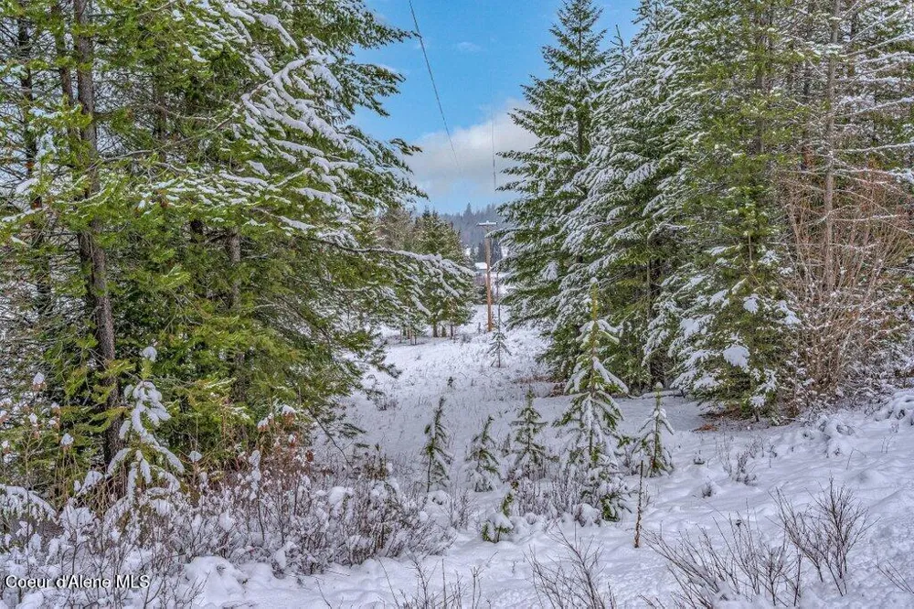 NNA Lot 1 Schneiders Road Sagle, ID 83860