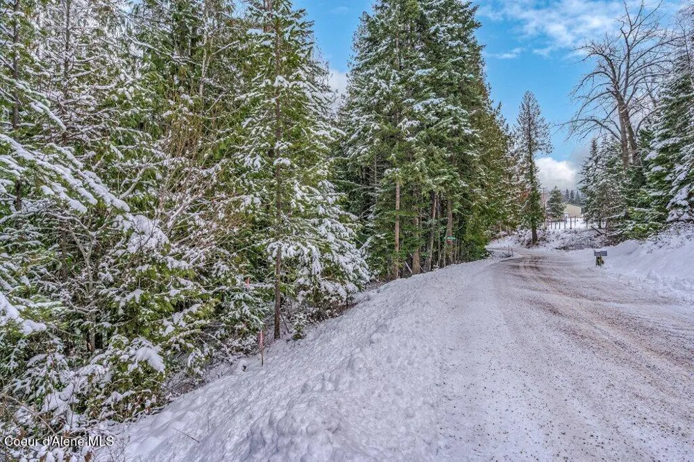 NNA Lot 1 Schneiders Road Sagle, ID 83860