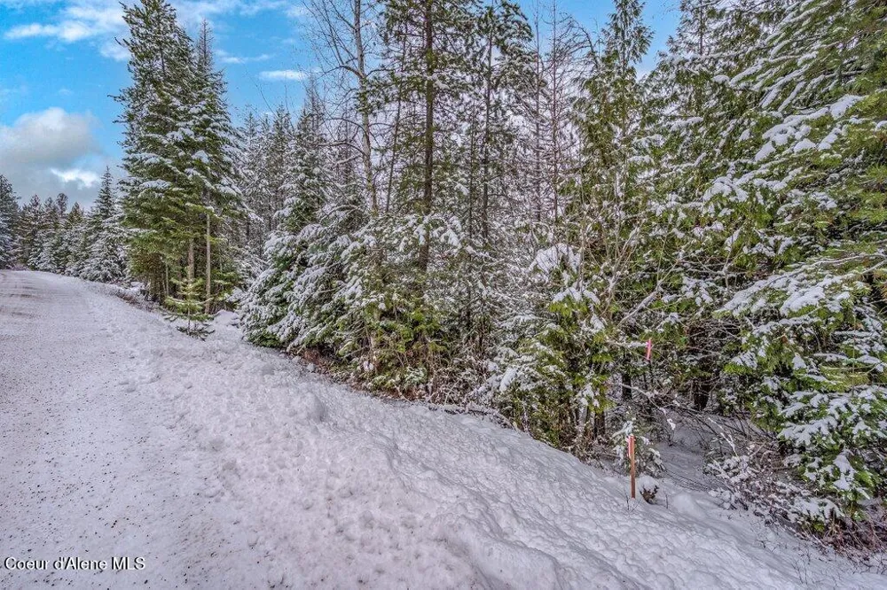 NNA Lot 1 Schneiders Road Sagle, ID 83860