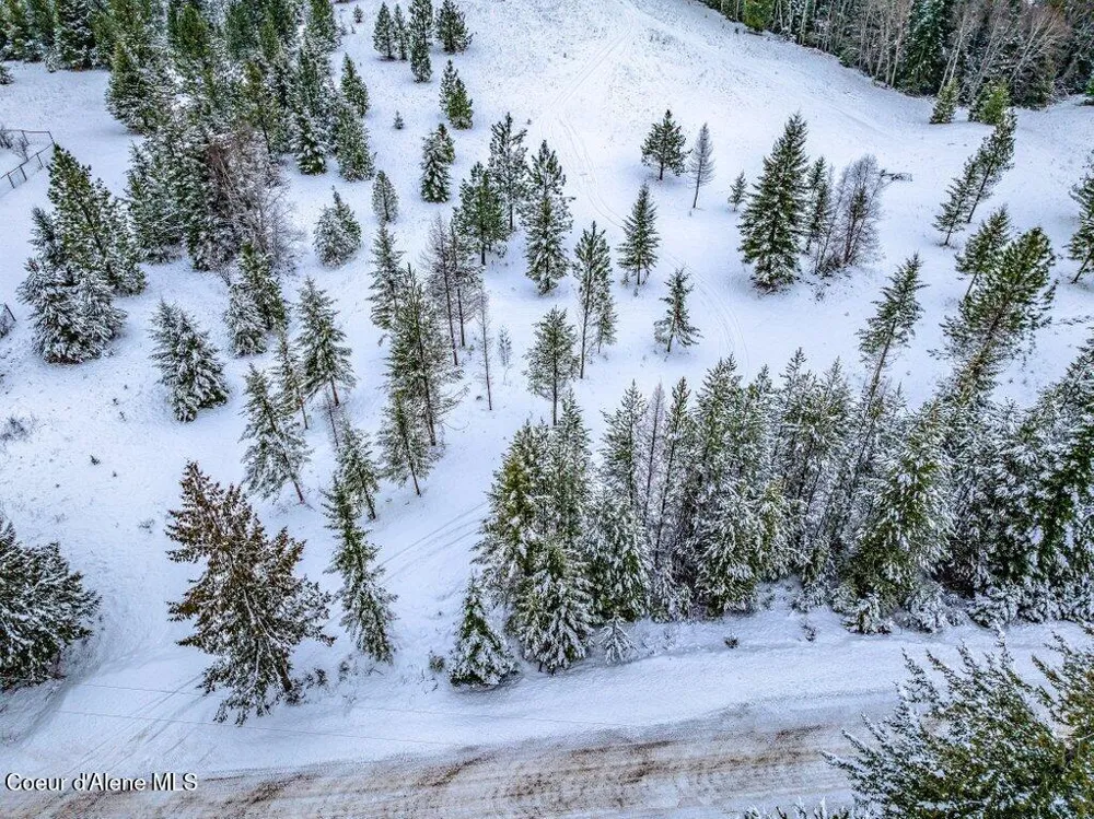 NNA Lot 1 Schneiders Road Sagle, ID 83860