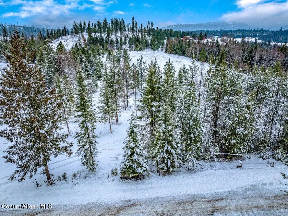 NNA Lot 1 Schneiders Road Sagle, ID 83860