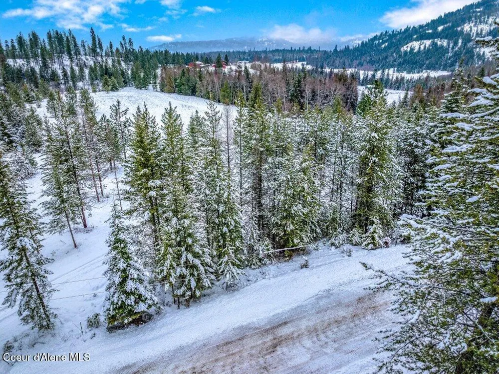 NNA Lot 1 Schneiders Road Sagle, ID 83860