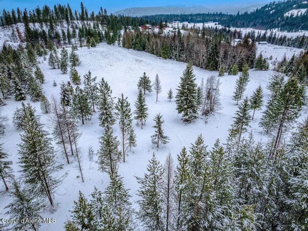 NNA Lot 1 Schneiders Road Sagle, ID 83860