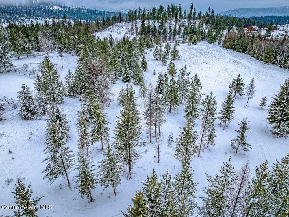NNA Lot 1 Schneiders Road Sagle, ID 83860