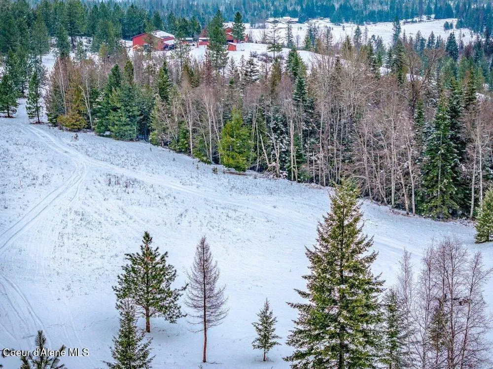 NNA Lot 1 Schneiders Road Sagle, ID 83860