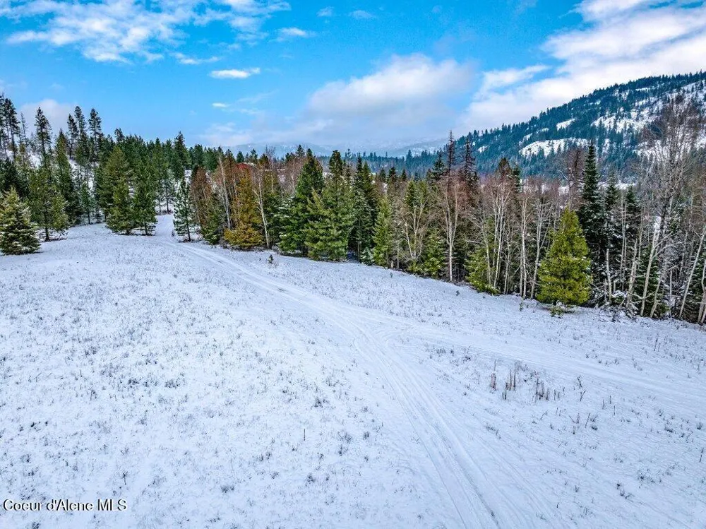 NNA Lot 1 Schneiders Road Sagle, ID 83860