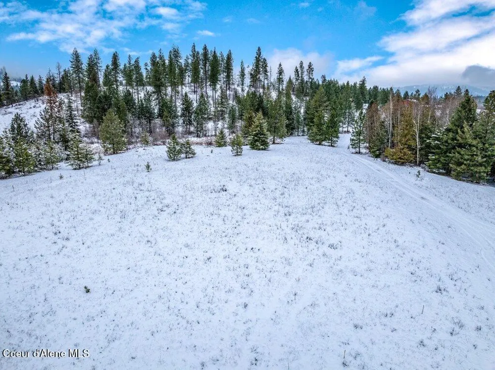 NNA Lot 1 Schneiders Road Sagle, ID 83860