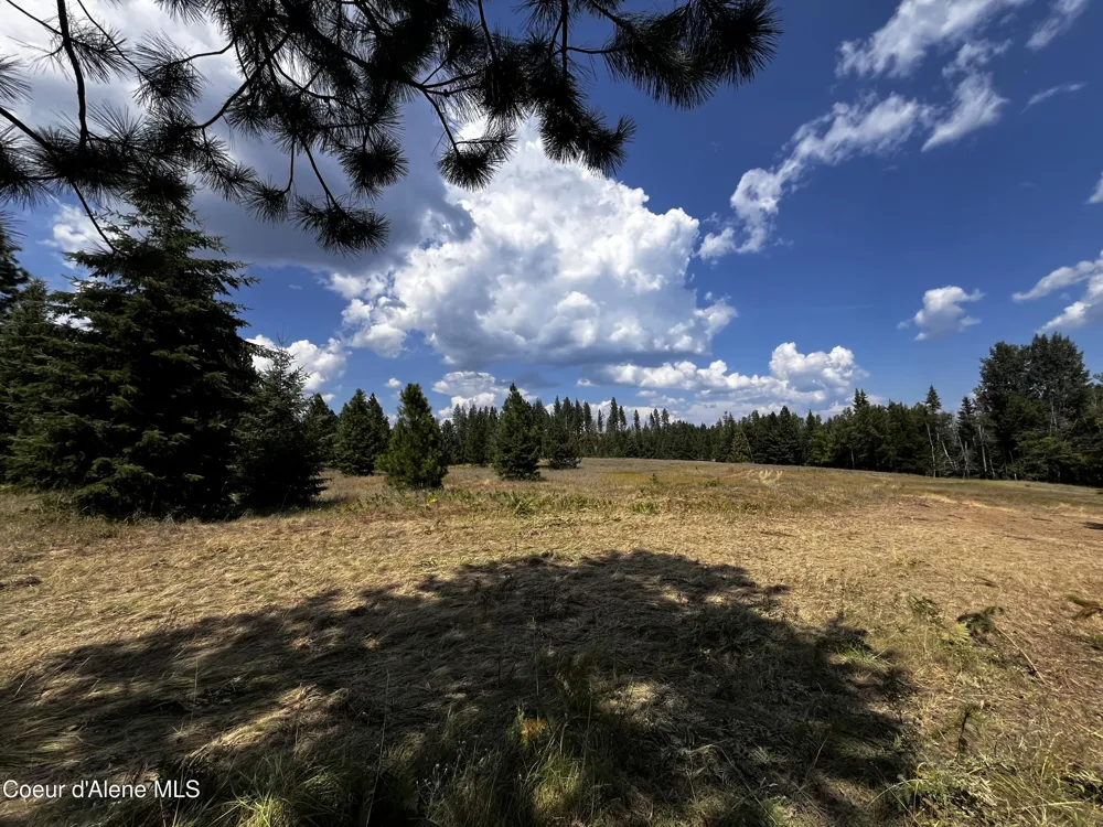 NNA Lot 1 Schneiders Road Sagle, ID 83860