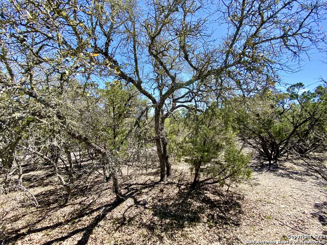 LOT 345 PR 1747 Mico, TX 78056