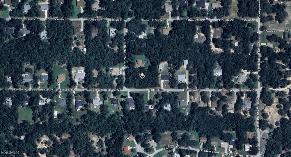 E Bluebird Court Hernando, FL 34442