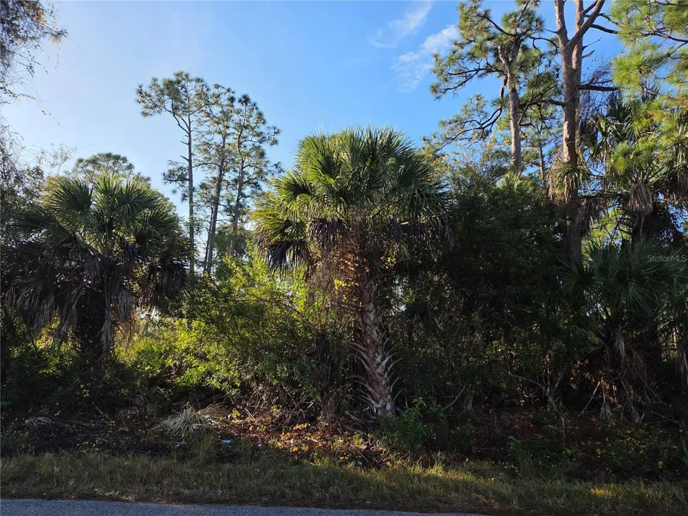 23507 SPENCER COURT Punta Gorda, FL 33980