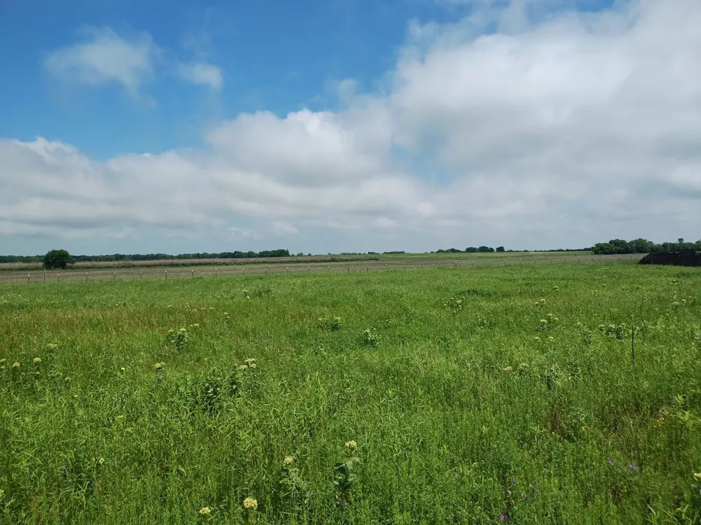 4225 County Road 4225 Cooper, TX 75432