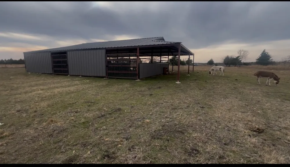 4225 County Road 4225 Cooper, TX 75432