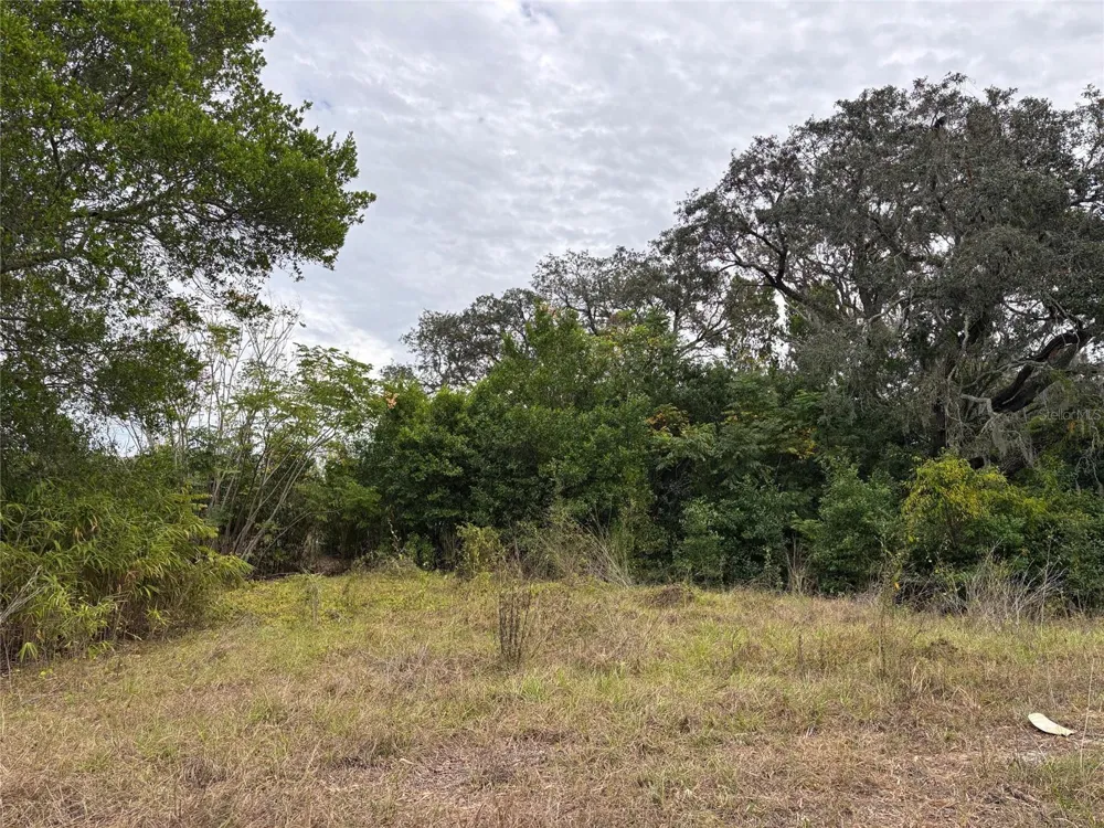 6330 KELVIN COURT Spring Hill, FL 34606