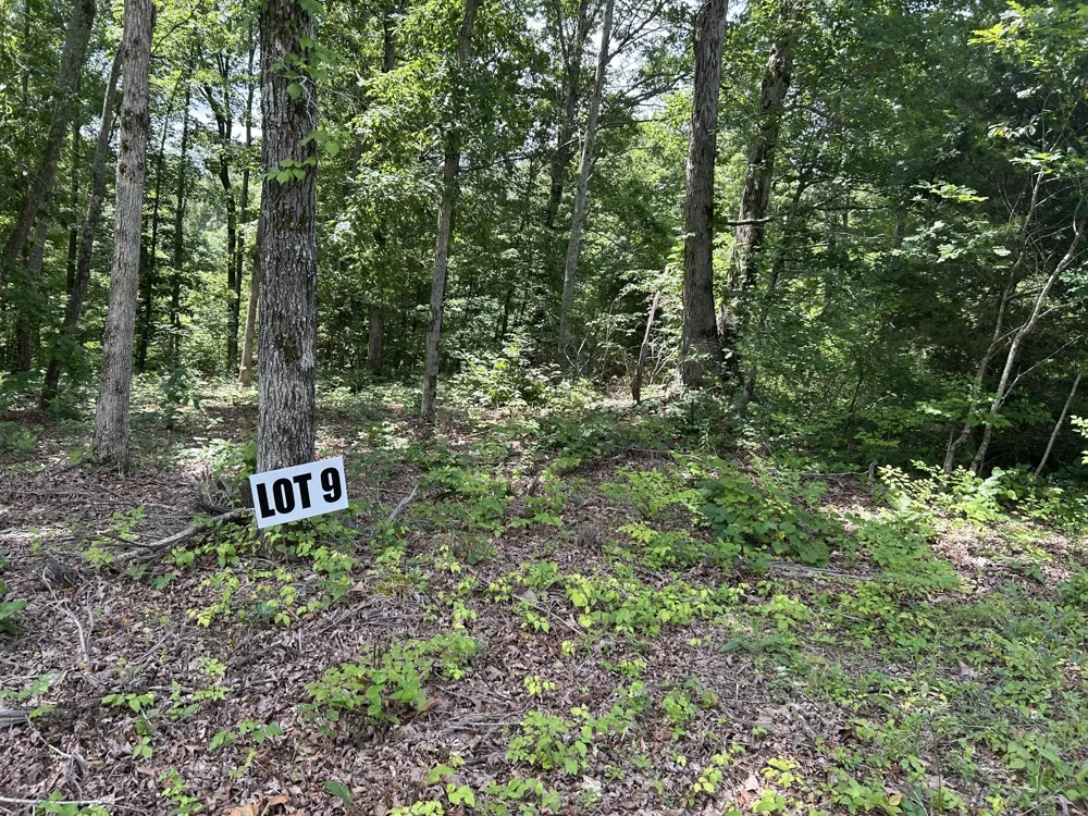 9 Slaughter Rd Primm Springs, TN 38476