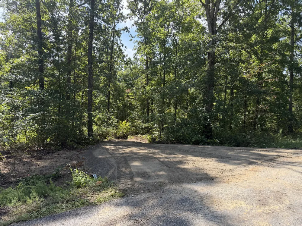 9 Slaughter Rd Primm Springs, TN 38476
