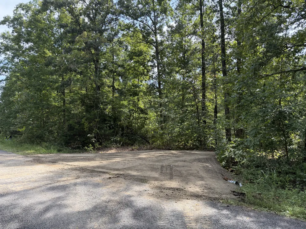 9 Slaughter Rd Primm Springs, TN 38476