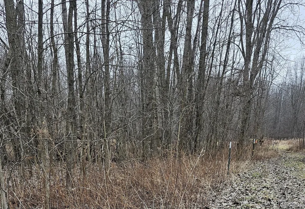 Chase Lake Rd Conway Township, MI 48836