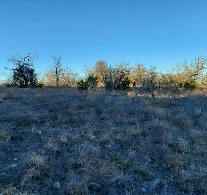 33 Comanche Hills Drive Comanche, TX 76442