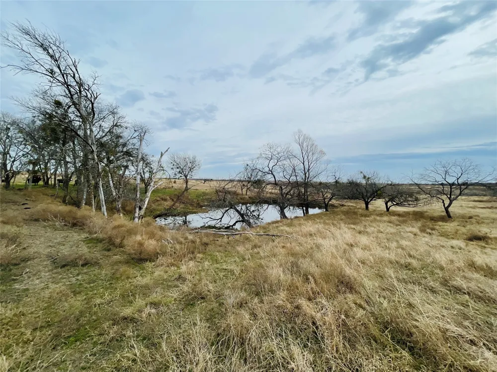 21517 SW County Road 4040 Dawson, TX 76639