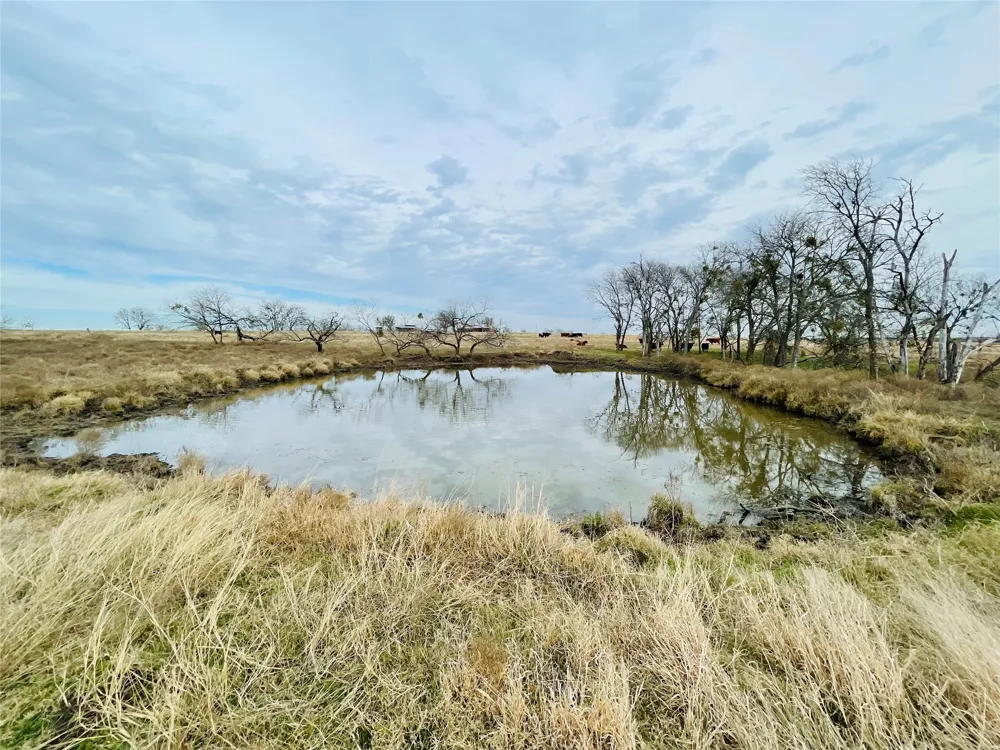 21517 SW County Road 4040 Dawson, TX 76639