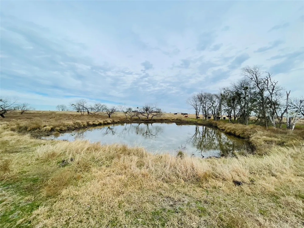 21517 SW County Road 4040 Dawson, TX 76639