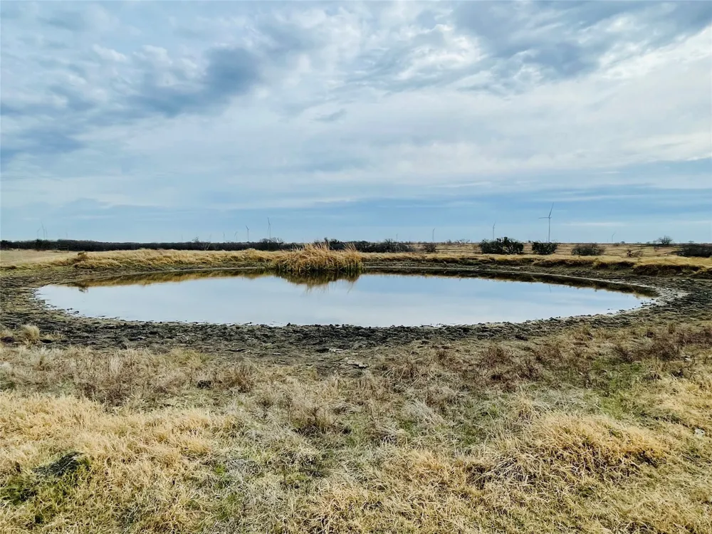 21517 SW County Road 4040 Dawson, TX 76639