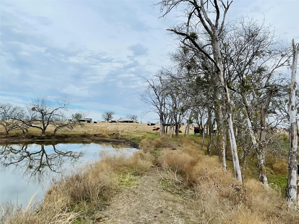 21517 SW County Road 4040 Dawson, TX 76639