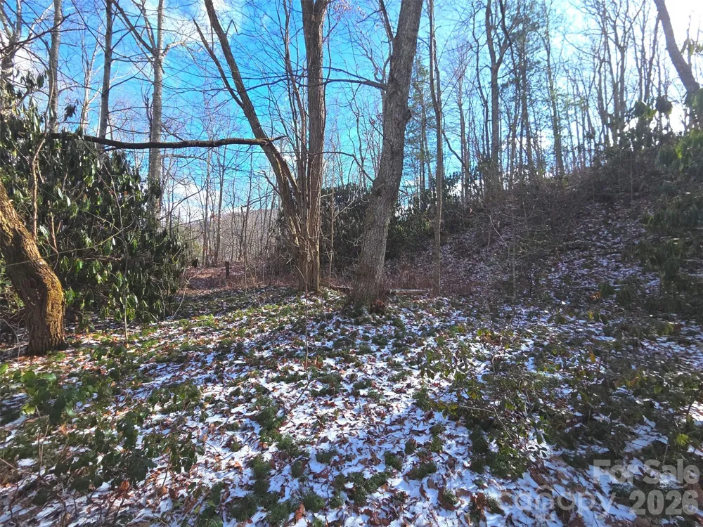 10 Tall Oaks Drive #58A & 58B Maggie Valley, NC 28751