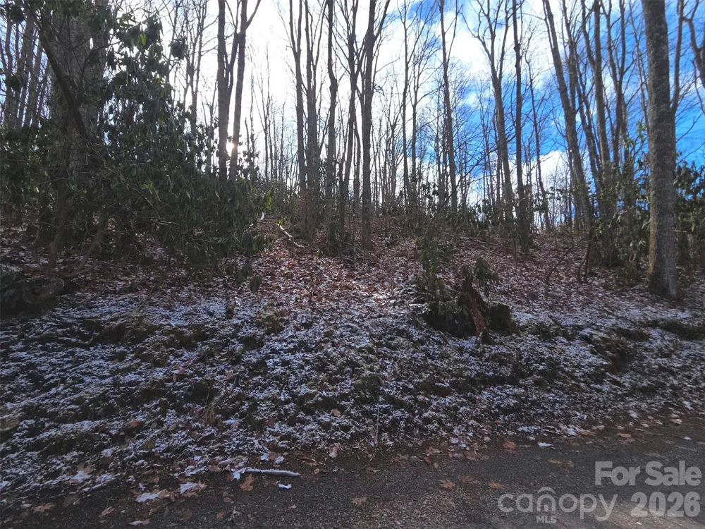 10 Tall Oaks Drive #58A & 58B Maggie Valley, NC 28751