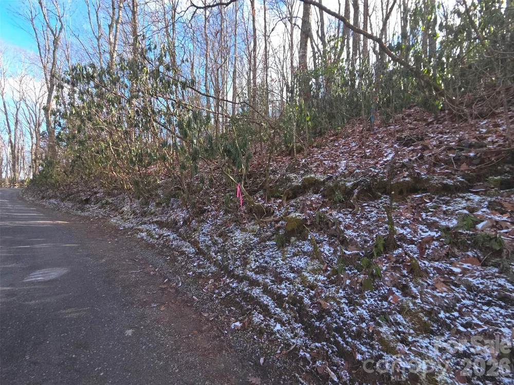 10 Tall Oaks Drive #58A & 58B Maggie Valley, NC 28751