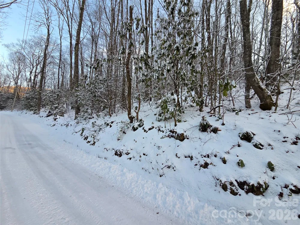 10 Tall Oaks Drive #58A & 58B Maggie Valley, NC 28751