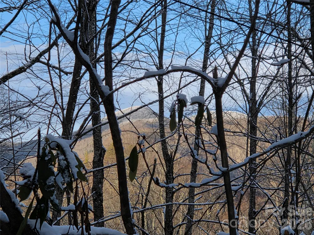 10 Tall Oaks Drive #58A & 58B Maggie Valley, NC 28751