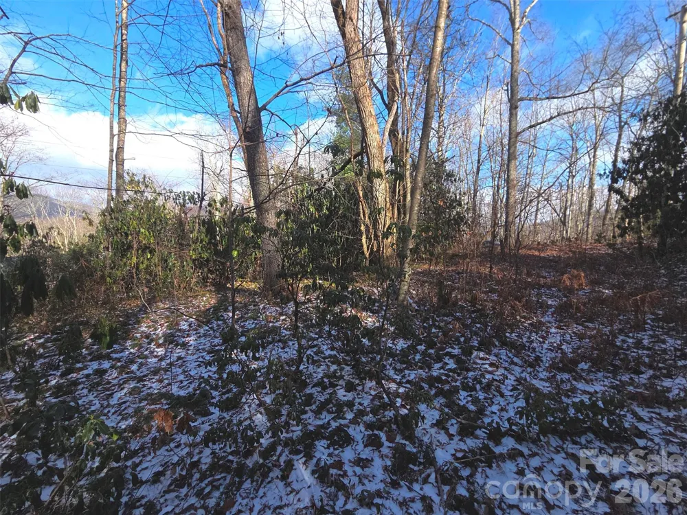10 Tall Oaks Drive #58A & 58B Maggie Valley, NC 28751