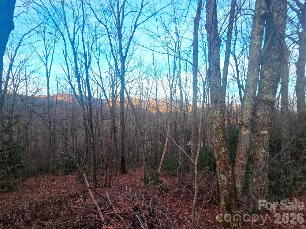 10 Tall Oaks Drive #58A & 58B Maggie Valley, NC 28751