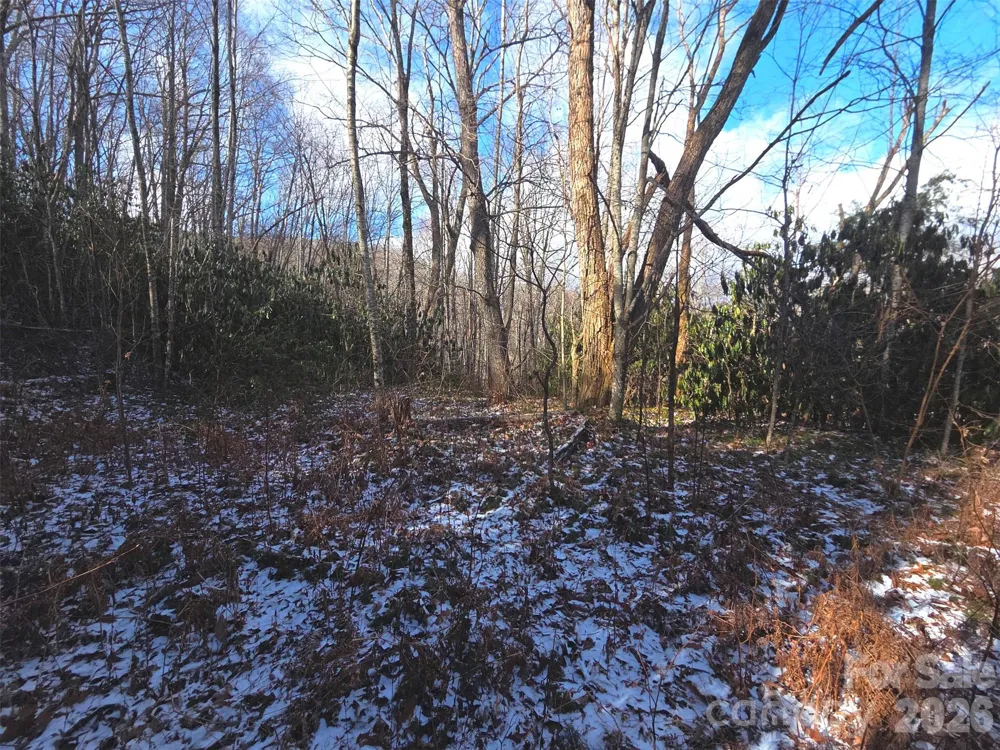 10 Tall Oaks Drive #58A & 58B Maggie Valley, NC 28751