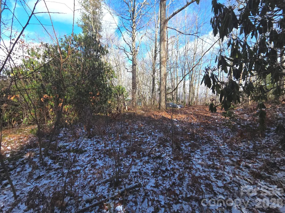 10 Tall Oaks Drive #58A & 58B Maggie Valley, NC 28751