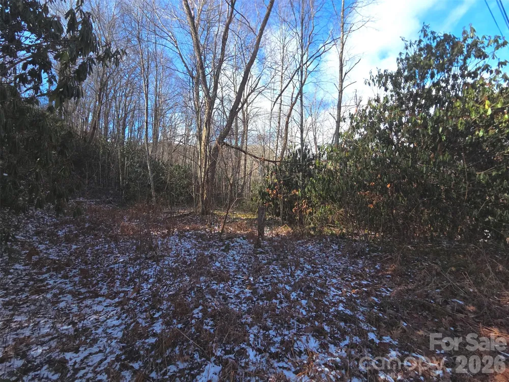 10 Tall Oaks Drive #58A & 58B Maggie Valley, NC 28751