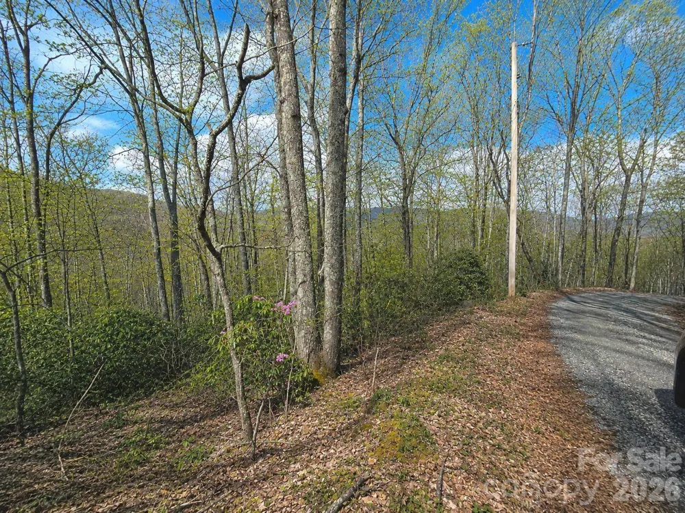 10 Tall Oaks Drive #58A & 58B Maggie Valley, NC 28751