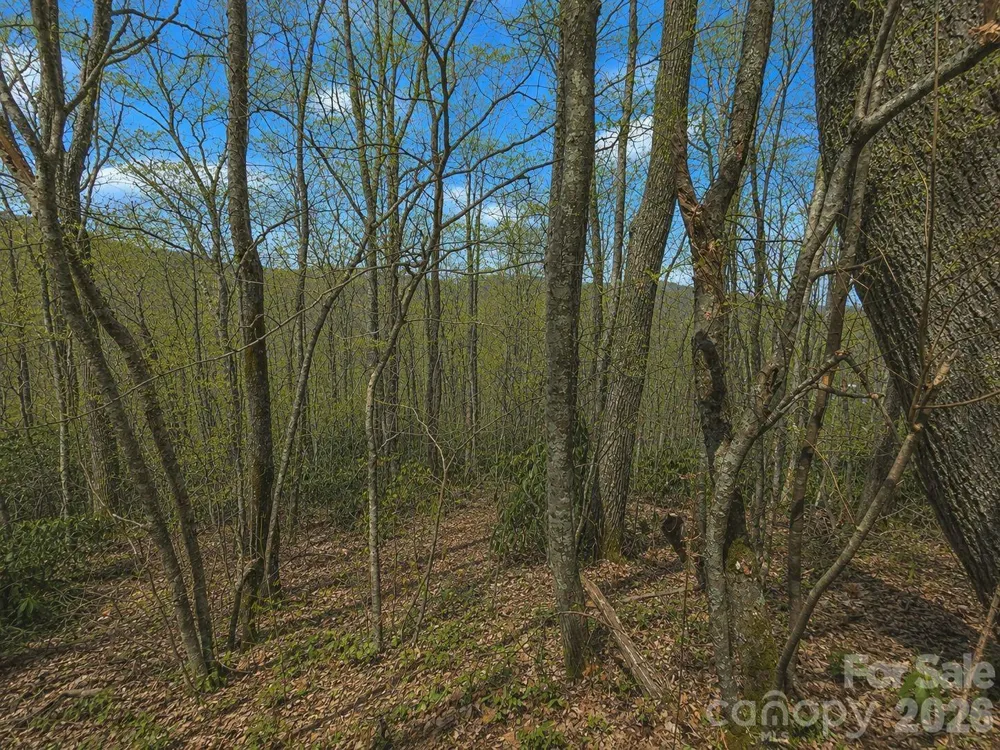 10 Tall Oaks Drive #58A & 58B Maggie Valley, NC 28751